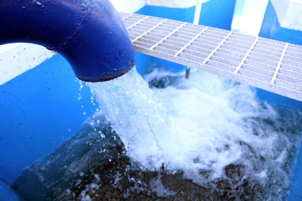 Programa SEAPAL trabajos de mantenimiento en infraestructura