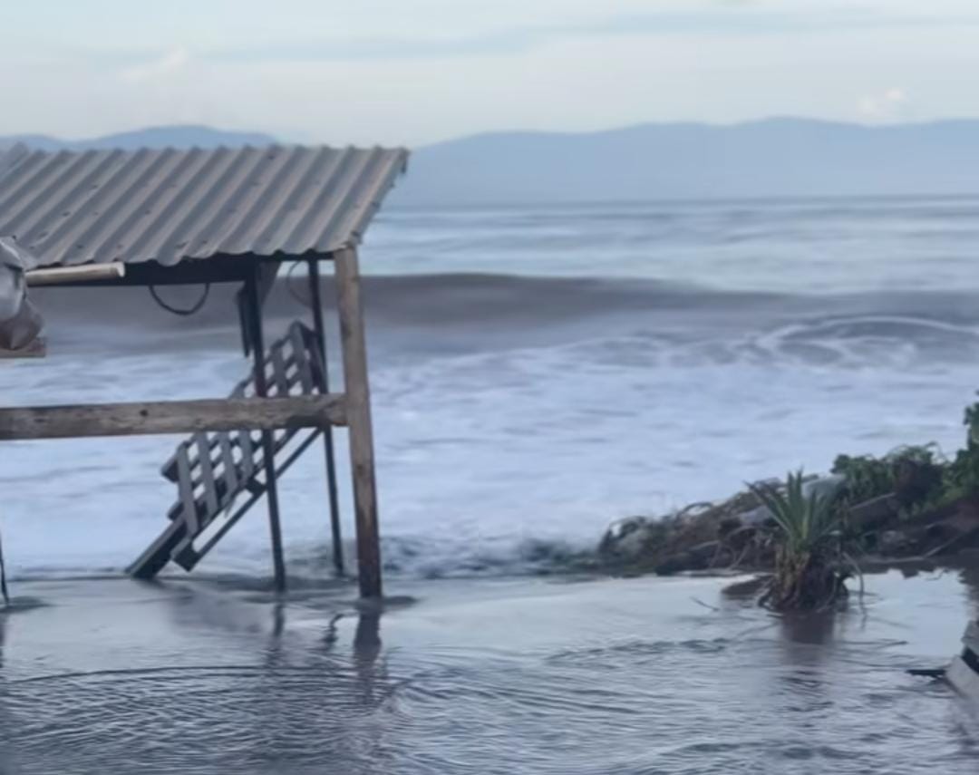 Huracán Priscila arrasa con más de 30 mil huevos de tortuga en Boca de Tomates