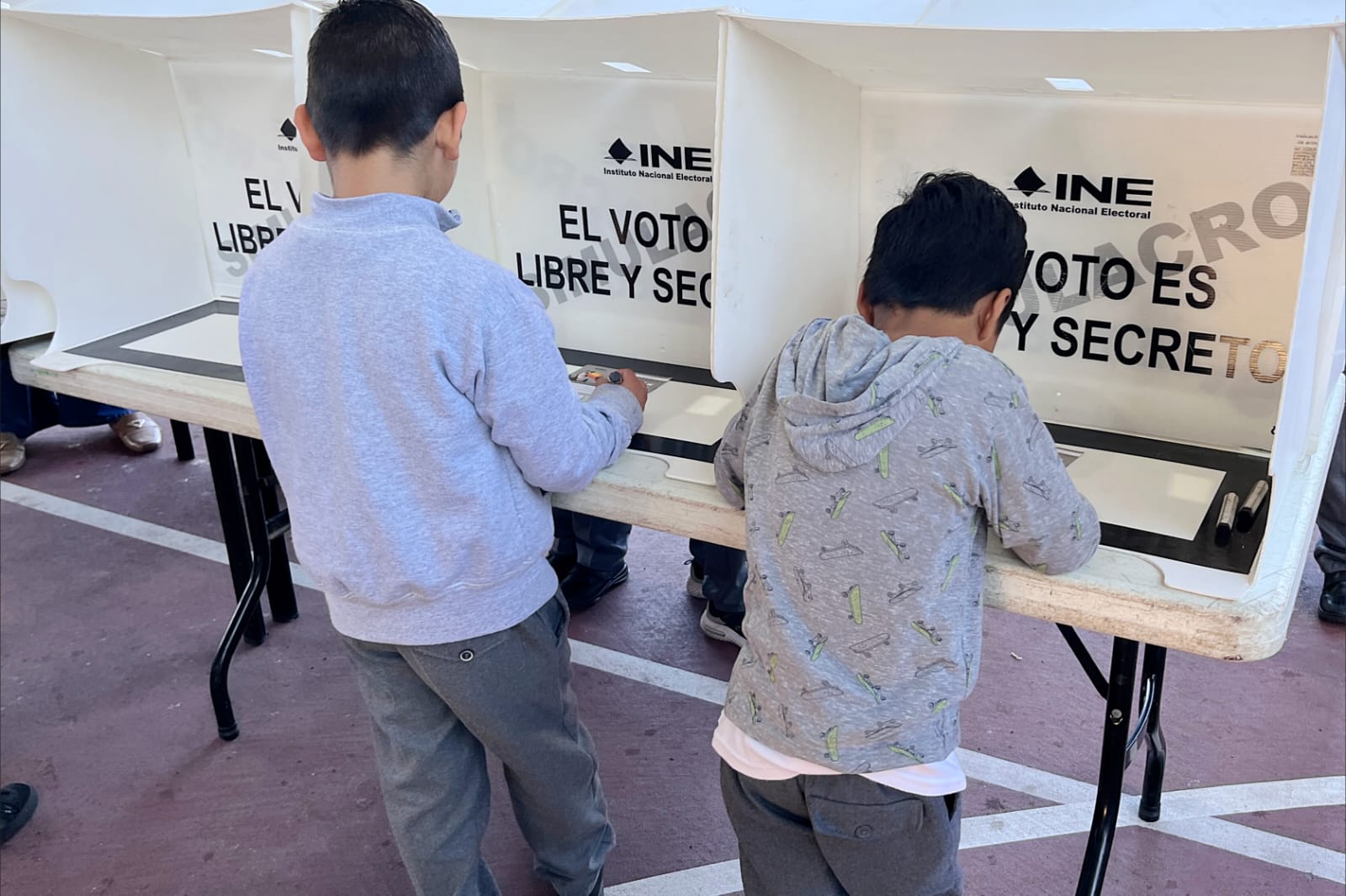 Inicia votación para elegir al "Guardián del Cuale" en Puerto Vallarta