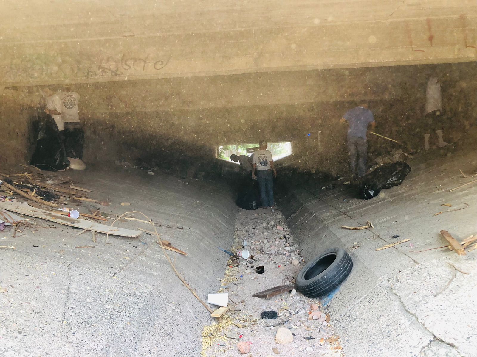 Arranca “Transformando Espacios, Transformando Vidas” en el puente de Palo Seco