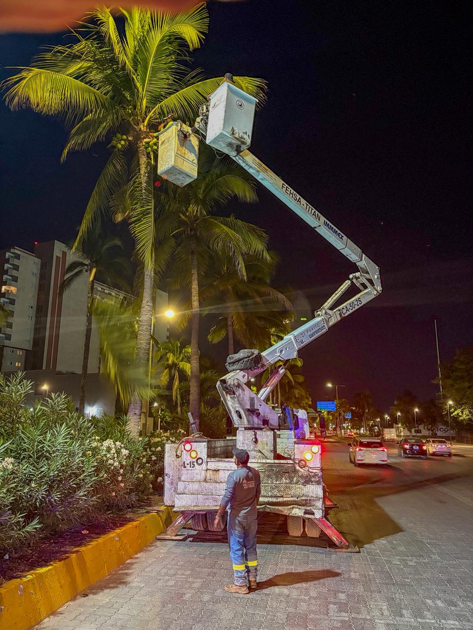 Gobierno del Bien realiza poda de más de 70 toneladas de material vegetal para prevenir accidentes