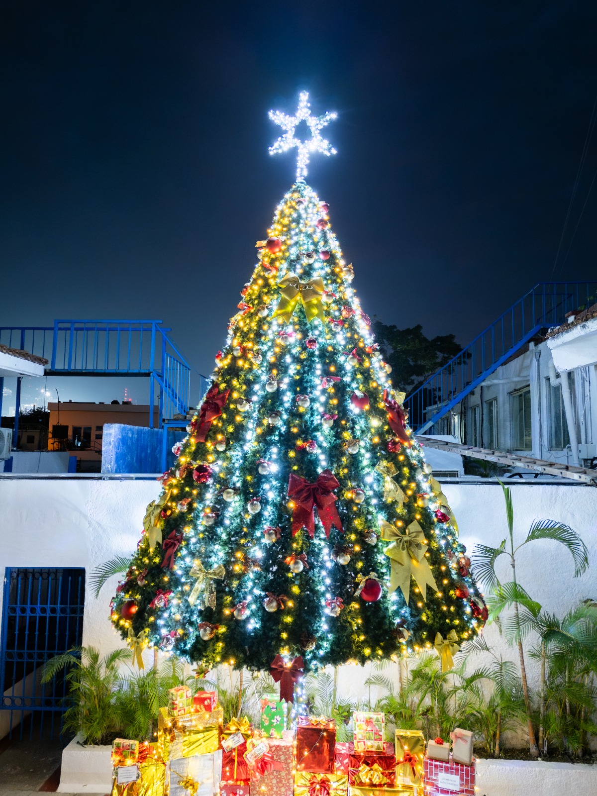 Brilla la Navidad en SEAPAL Vallarta con emotiva ceremonia de encendido