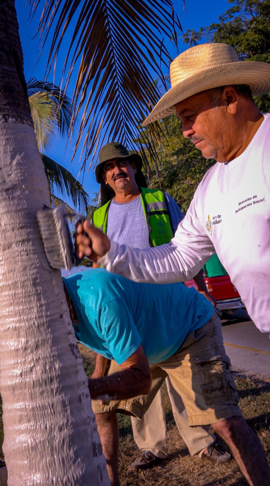 Alistan la Francisco Medina Ascencio para la temporada vacacional